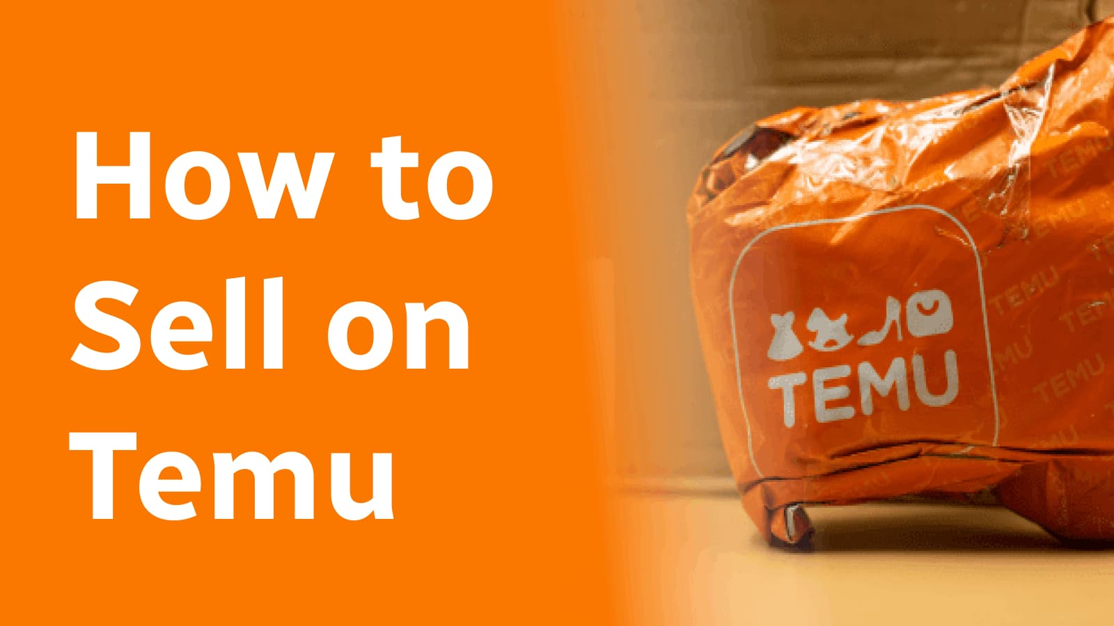 Setting Up Your Business to Sell on Temu